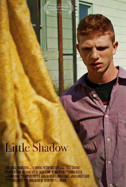 Постер фильма Little Shadow