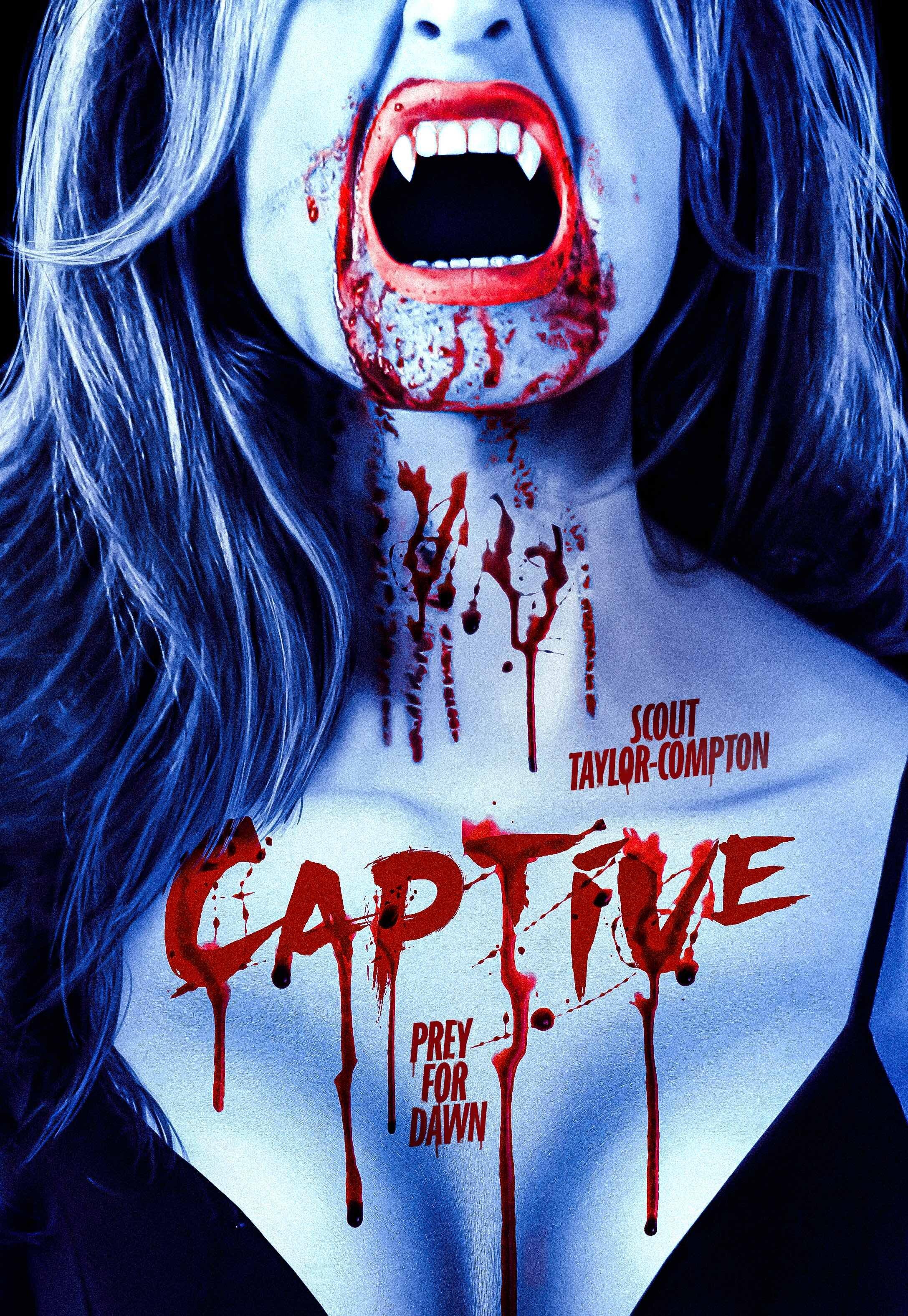 Постер фильма Пленник | Captive