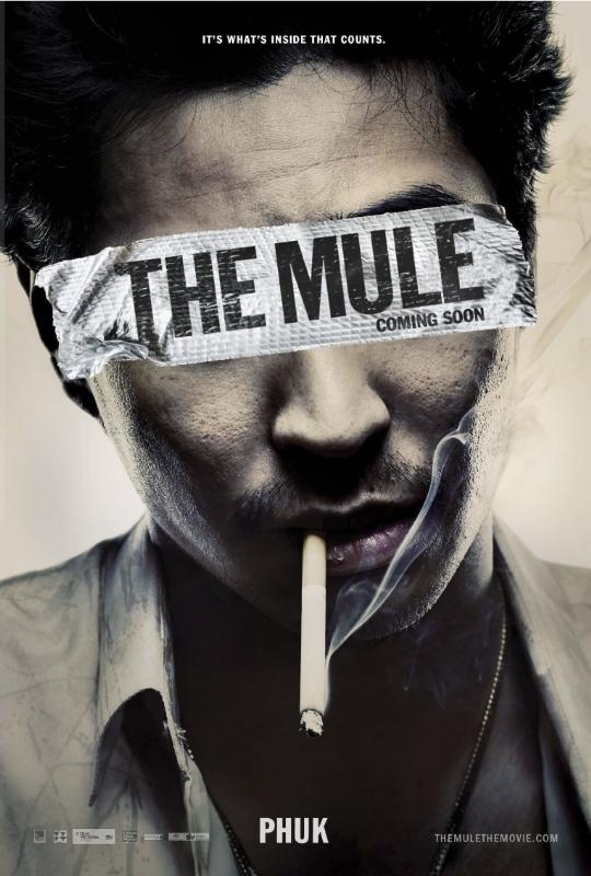 Постер фильма Мул | Mule