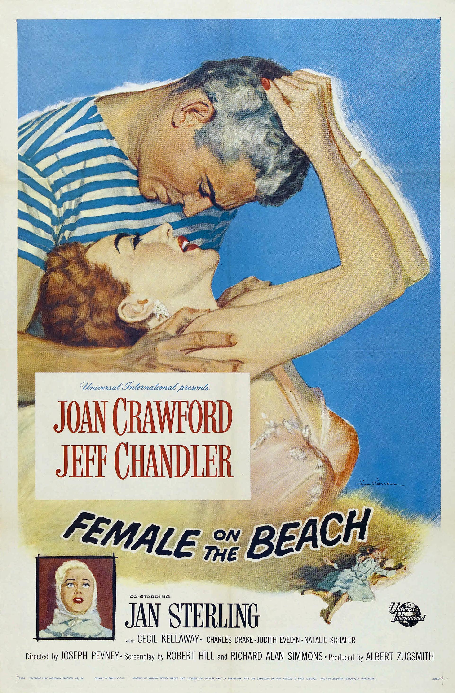 Постер фильма Женщина на пляже | Female on the Beach