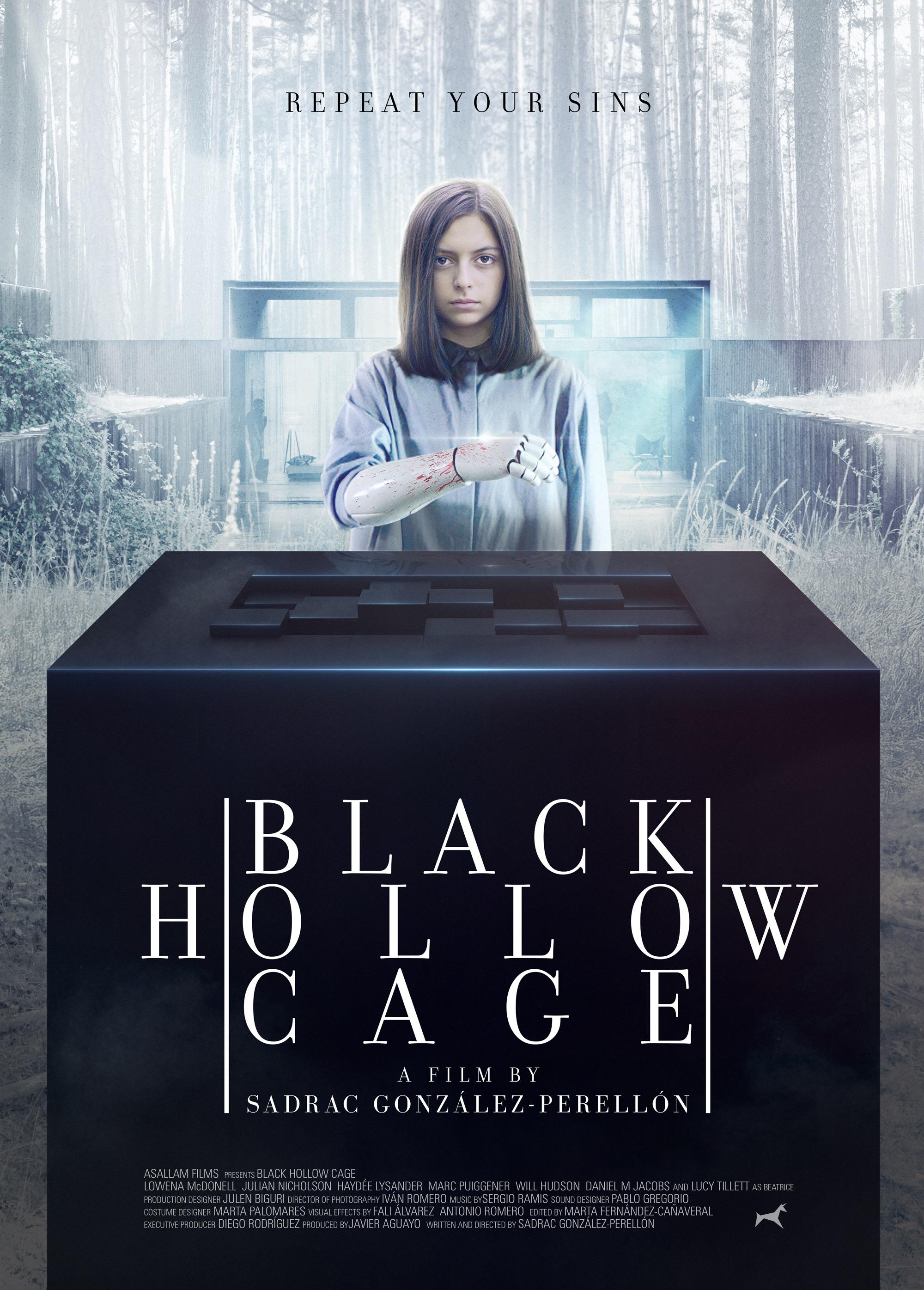 Постер фильма Пустая чёрная клетка | Black Hollow Cage 