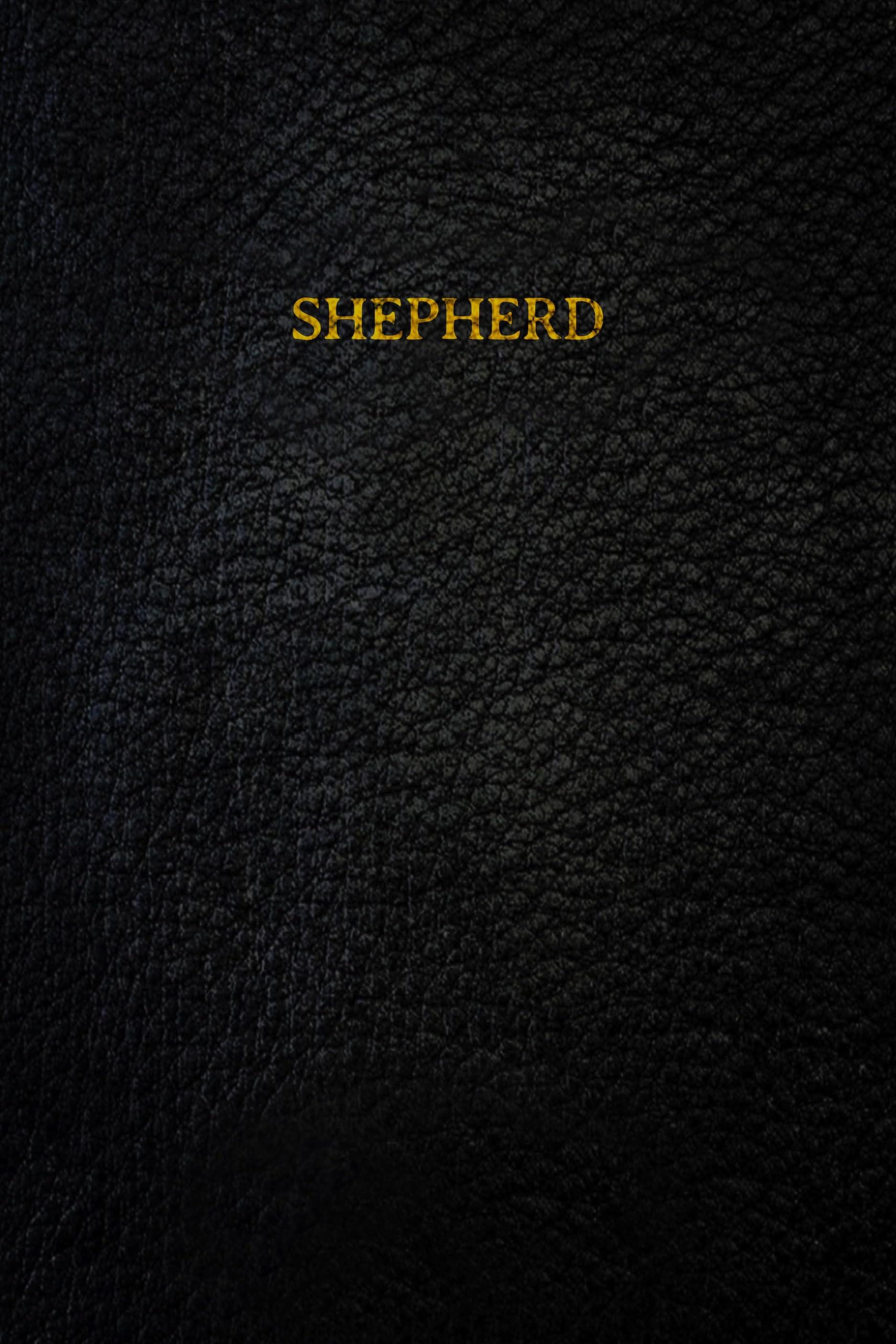 Постер фильма Shepherd