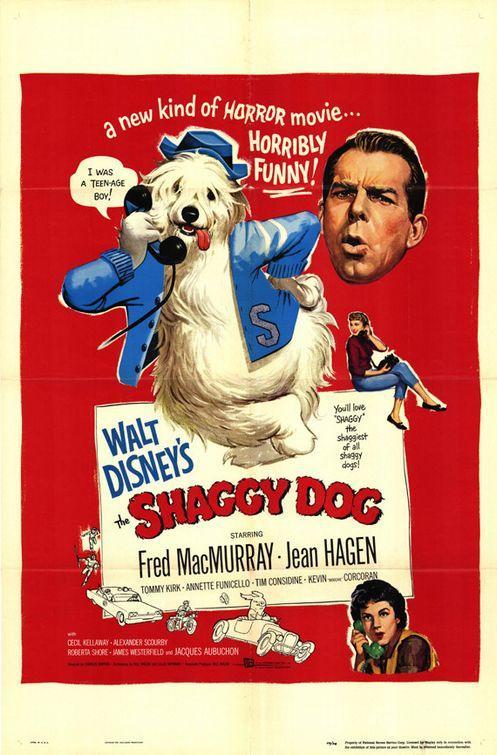 Постер фильма Shaggy Dog