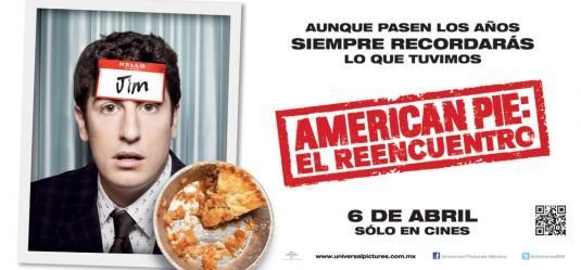 Постер фильма Американский пирог: Все в сборе | American Reunion