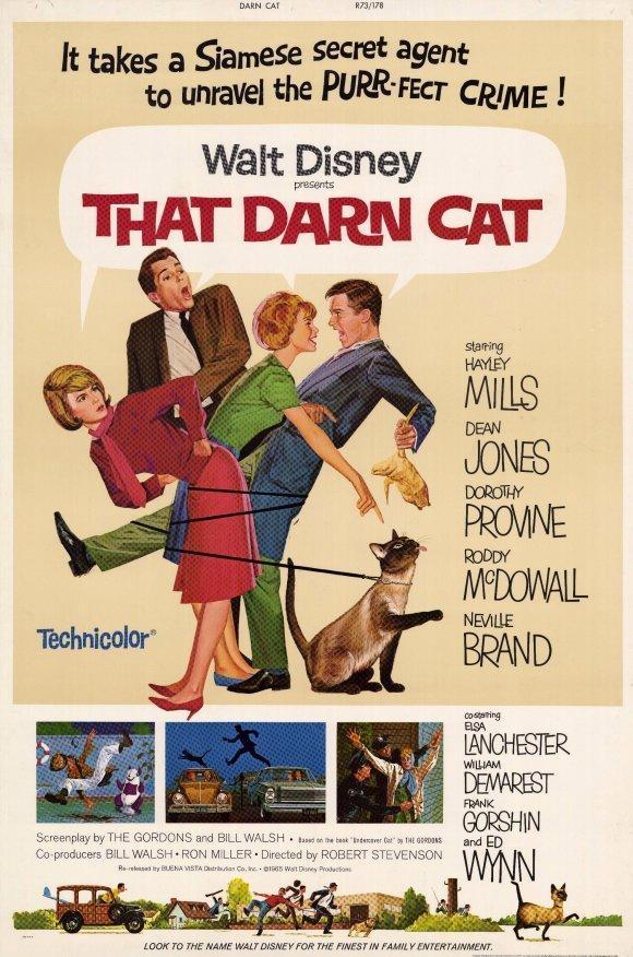 Постер фильма Эта дикая кошка | That Darn Cat!