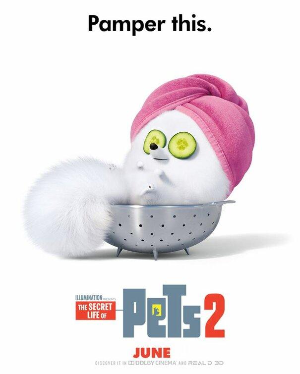 Постер фильма Тайная жизнь домашних животных 2 | The Secret Life of Pets 2