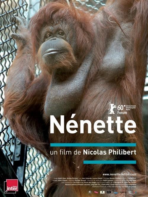 Постер фильма Nénette