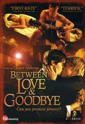 Постер фильма Between Love & Goodbye