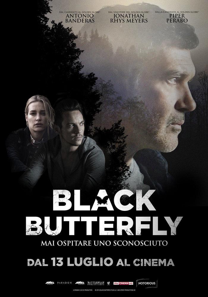 Постер фильма Черная бабочка | Black Butterfly