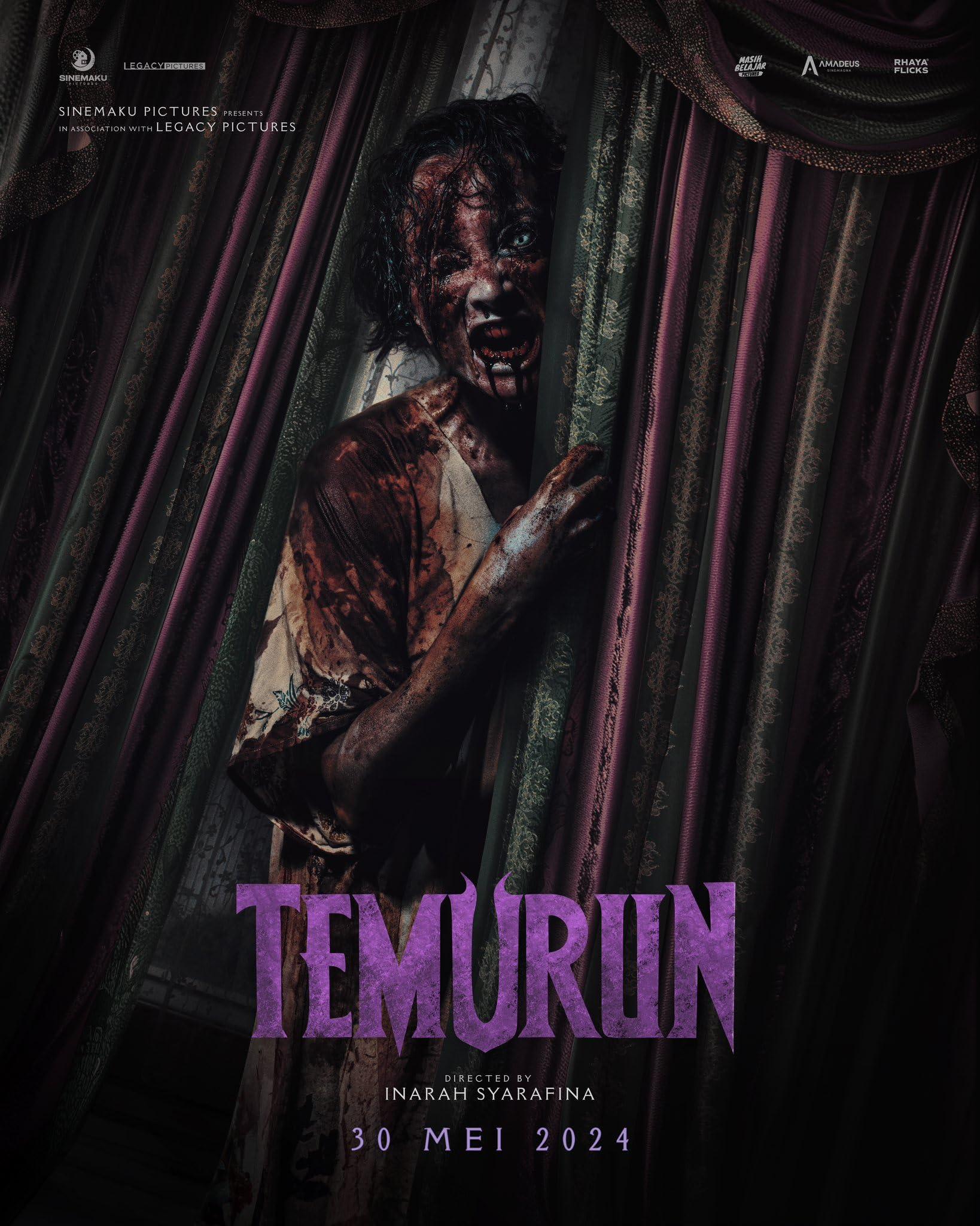 Постер фильма Наследство | Temurun
