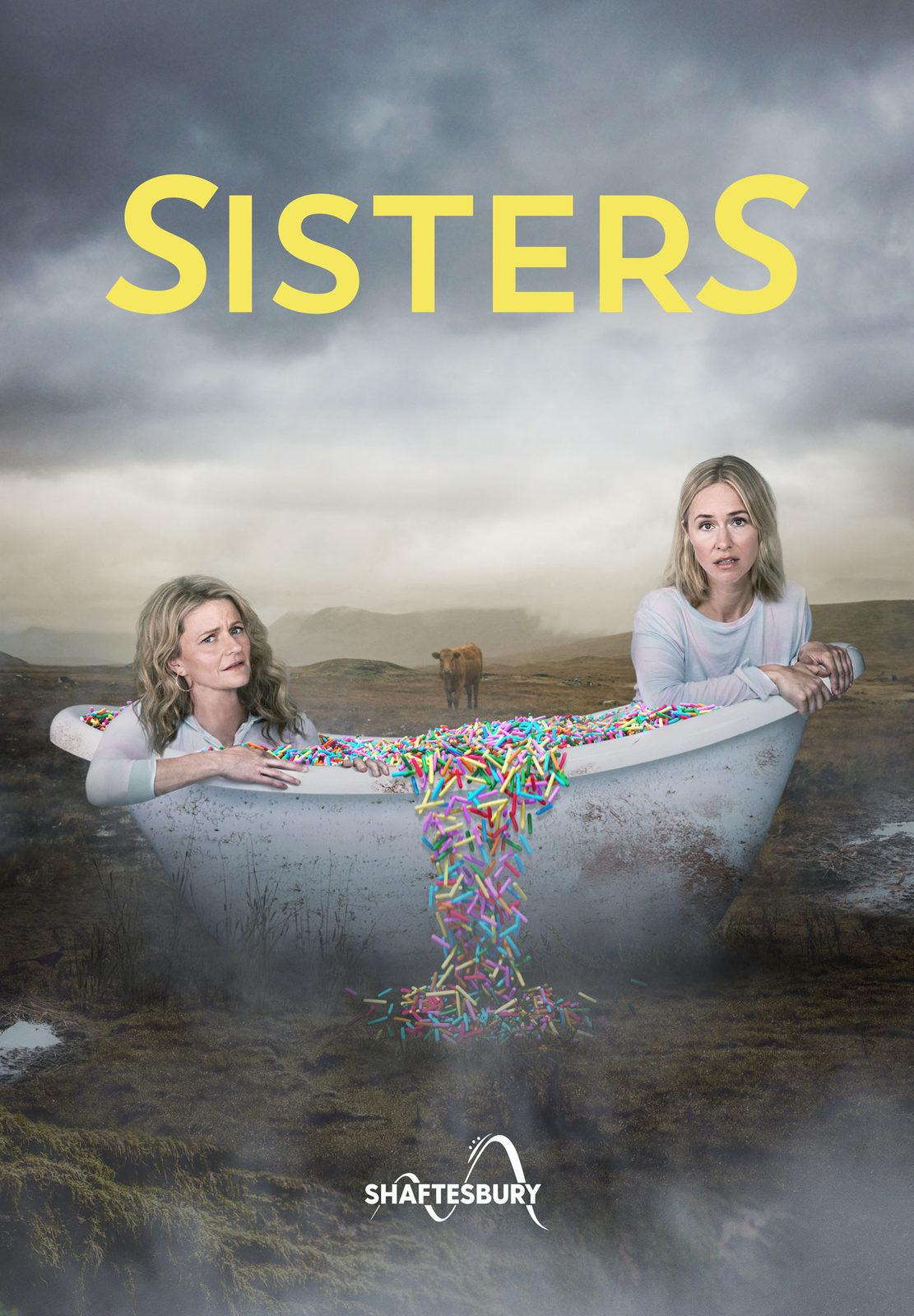 Постер фильма Сёстры | SisterS