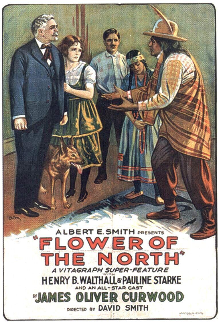 Постер фильма Flower of the North
