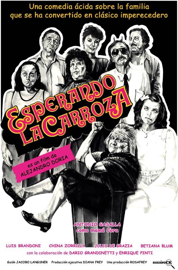 Постер фильма Esperando la carroza