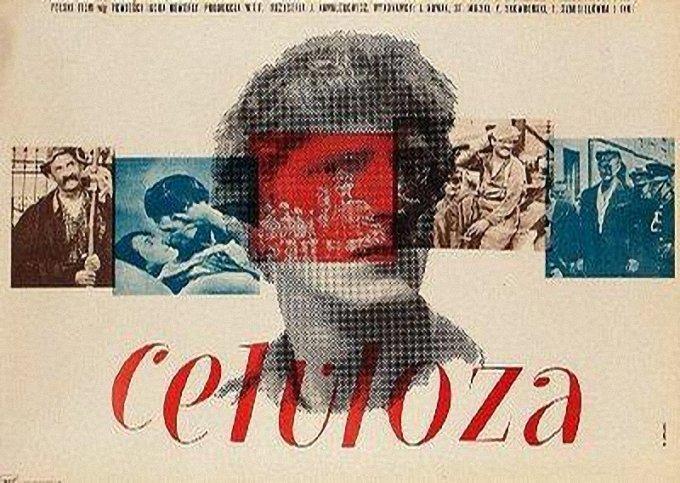 Постер фильма Целюлоза | Celuloza