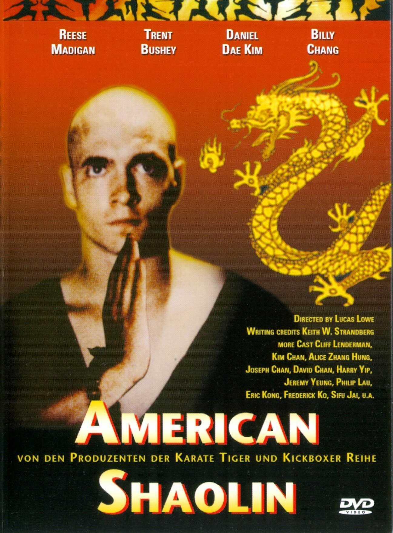 Постер фильма American Shaolin
