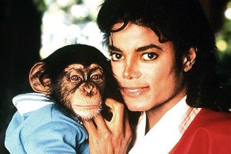 Тайка Вайтити и Netflix отказались снимать мультфильм про шимпанзе Майкла Джексона