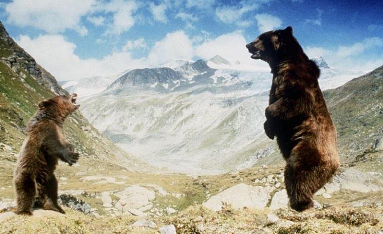 Кадр из фильма "Медведь" (1988)