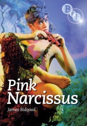 Pink Narcissus