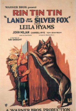 Land of the Silver Fox