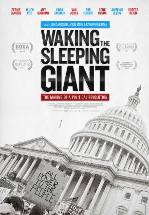 Waking the Sleeping Giant: The Making of a Political Revolution 