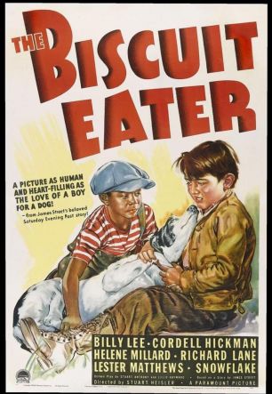 Biscuit Eater