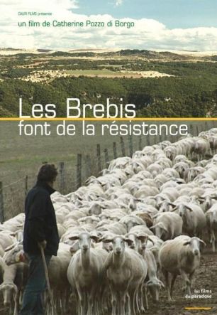 Les brebis font de la résistance