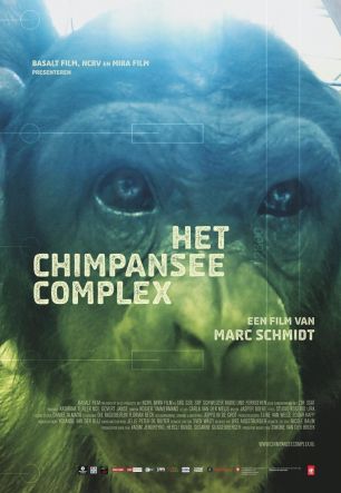 Комплекс шимпанзе