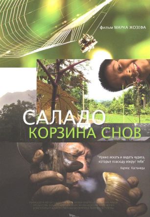 Корзина снов