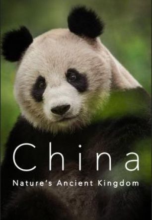 Китай: Древнее Царство Природы