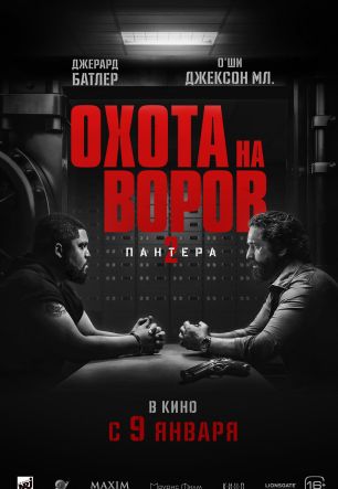 Охота на воров 2: Пантера