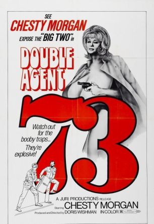 Double Agent 73