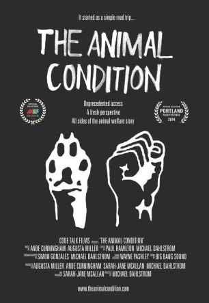 Animal Condition