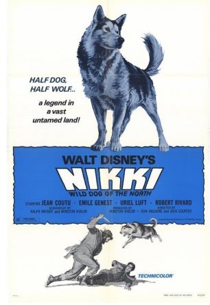 Nikki, Wild Dog of the North