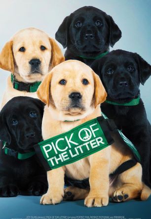 Pick of the Litter 