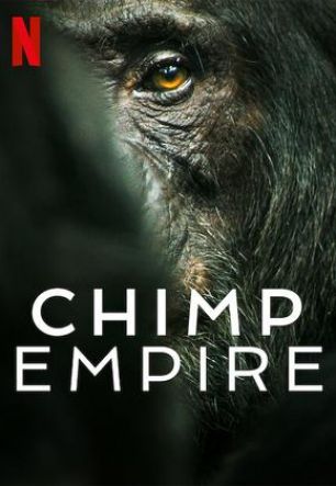 Империя шимпанзе
