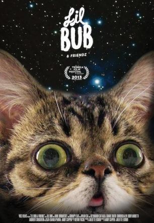 Lil Bub & Friendz