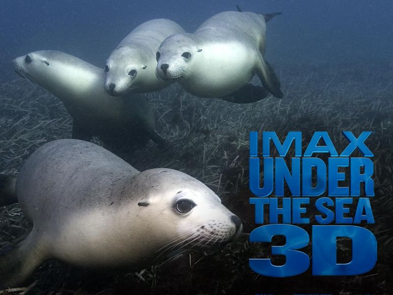 Фильм На глубине морской 3D | Under the Sea 3D - лучшие обои для рабочего стола
