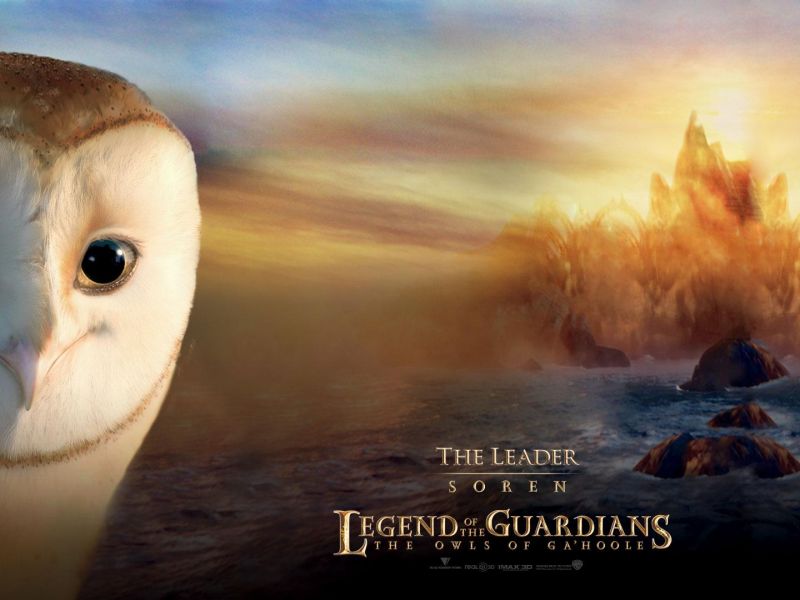 Фильм Легенды ночных стражей | Legend of the Guardians: The Owls of Ga'Hoole - лучшие обои для рабочего стола