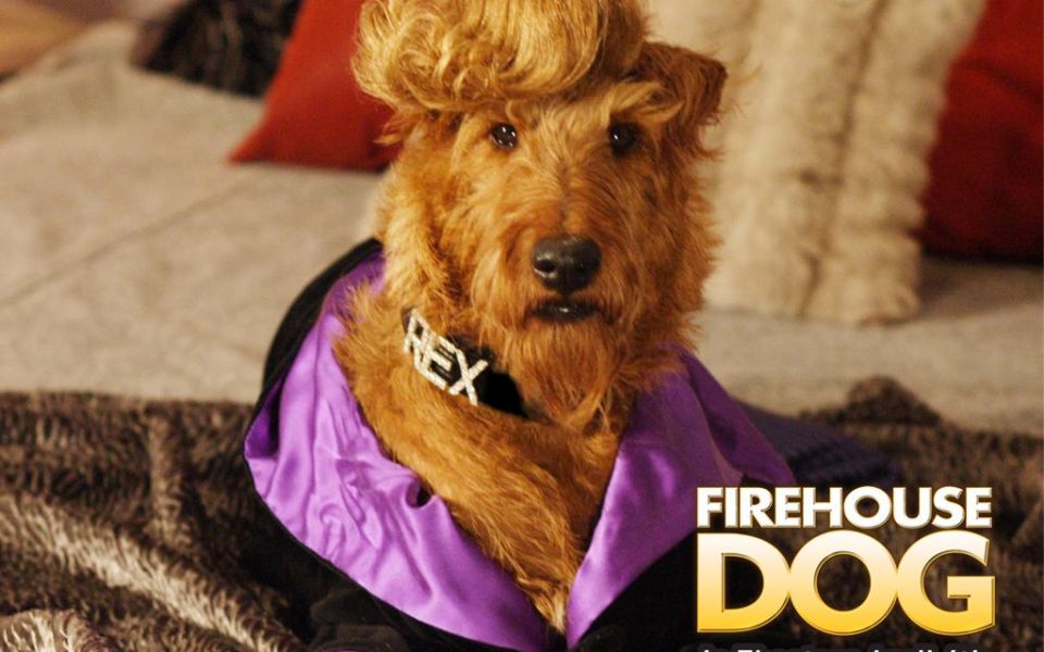 Фильм Пожарный пес | Firehouse Dog - лучшие обои для рабочего стола