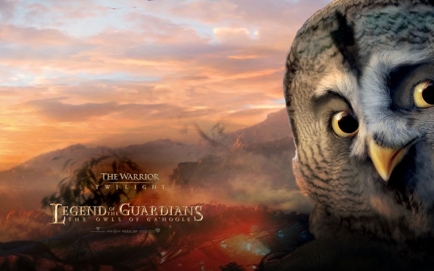 Фильм Легенды ночных стражей | Legend of the Guardians: The Owls of Ga'Hoole - лучшие обои для рабочего стола