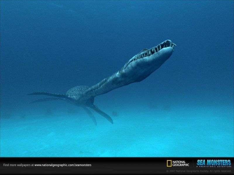 Фильм Чудища морей 3D. Доисторическое приключение | Sea Monsters: A Prehistoric Adventure - лучшие обои для рабочего стола