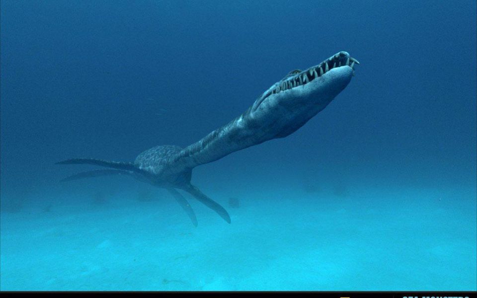 Фильм Чудища морей 3D. Доисторическое приключение | Sea Monsters: A Prehistoric Adventure - лучшие обои для рабочего стола