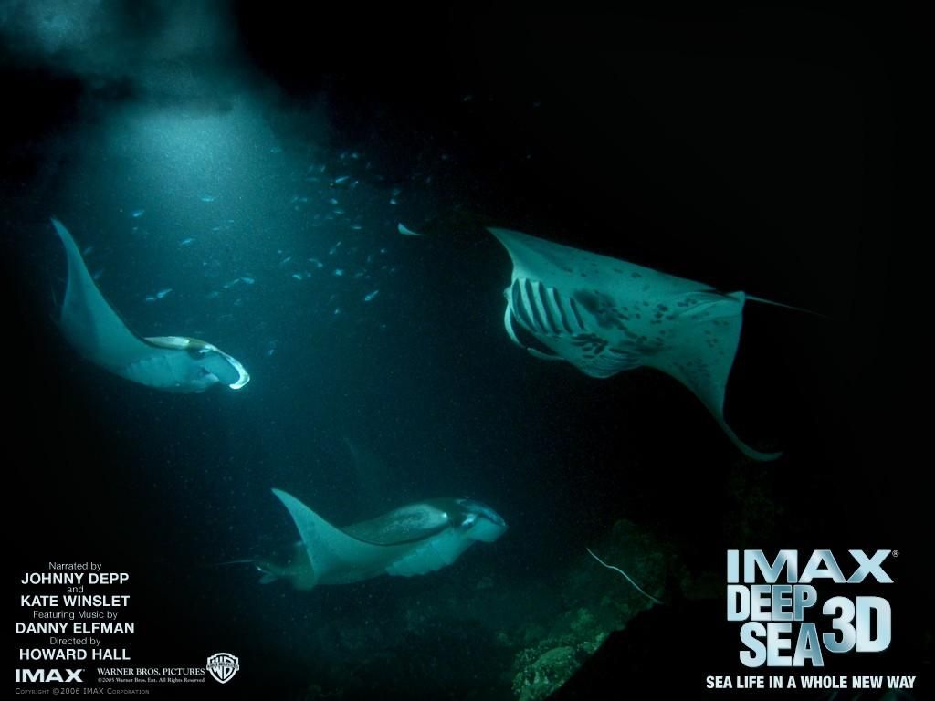 Фильм Тайны подводного мира 3D | Deep Sea - лучшие обои для рабочего стола