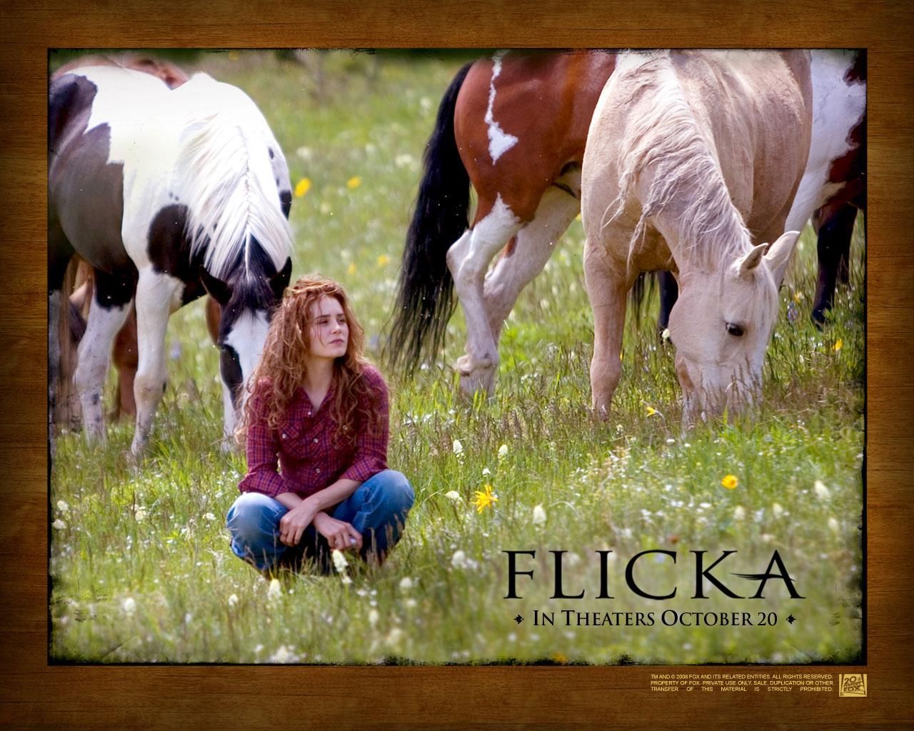 Фильм Флика | Flicka - лучшие обои для рабочего стола