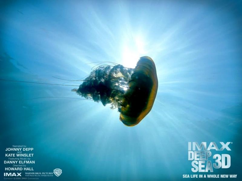 Фильм Тайны подводного мира 3D | Deep Sea - лучшие обои для рабочего стола