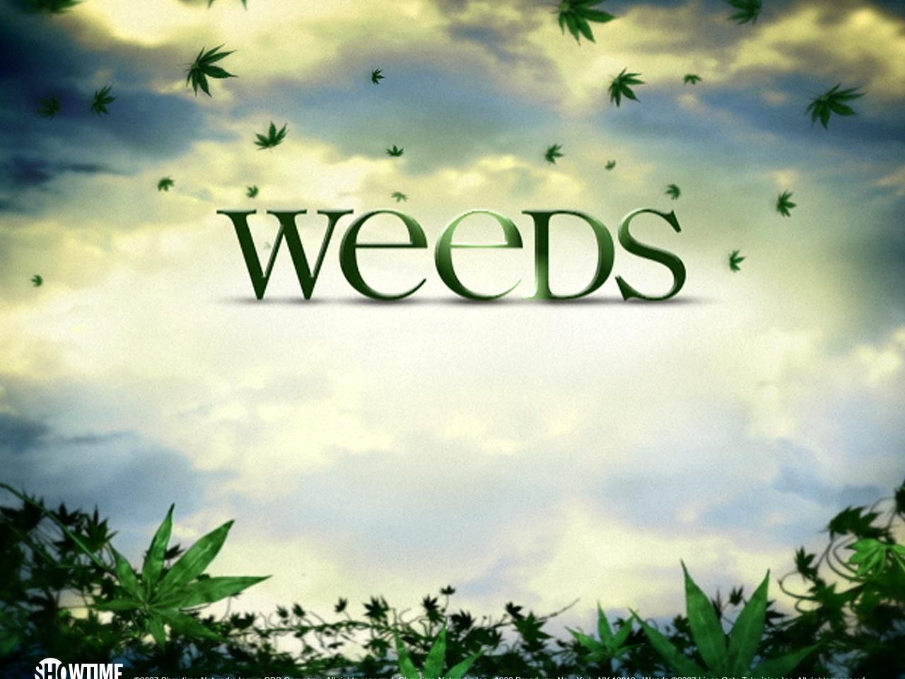 Фильм Косяки | Weeds - лучшие обои для рабочего стола
