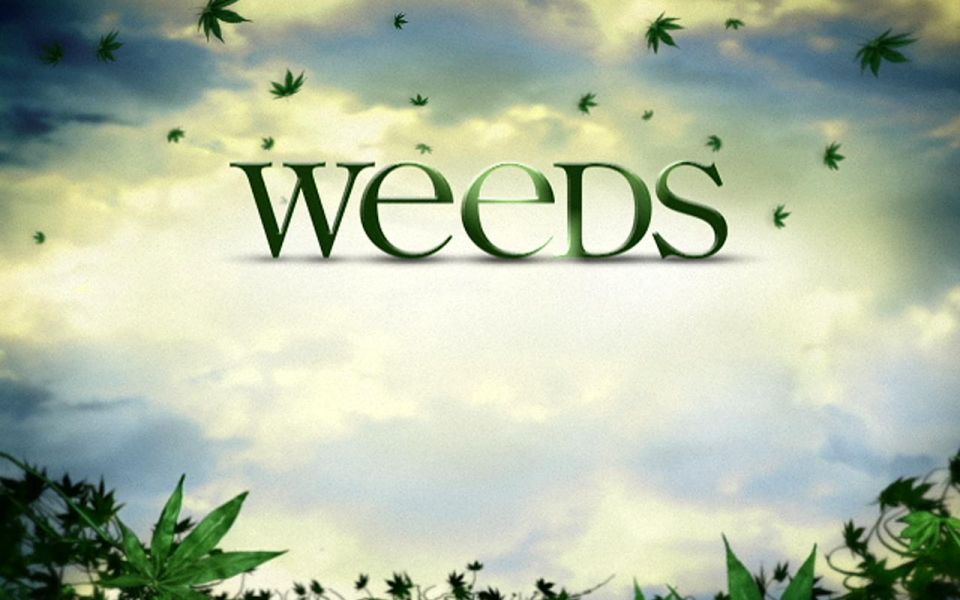 Фильм Косяки | Weeds - лучшие обои для рабочего стола