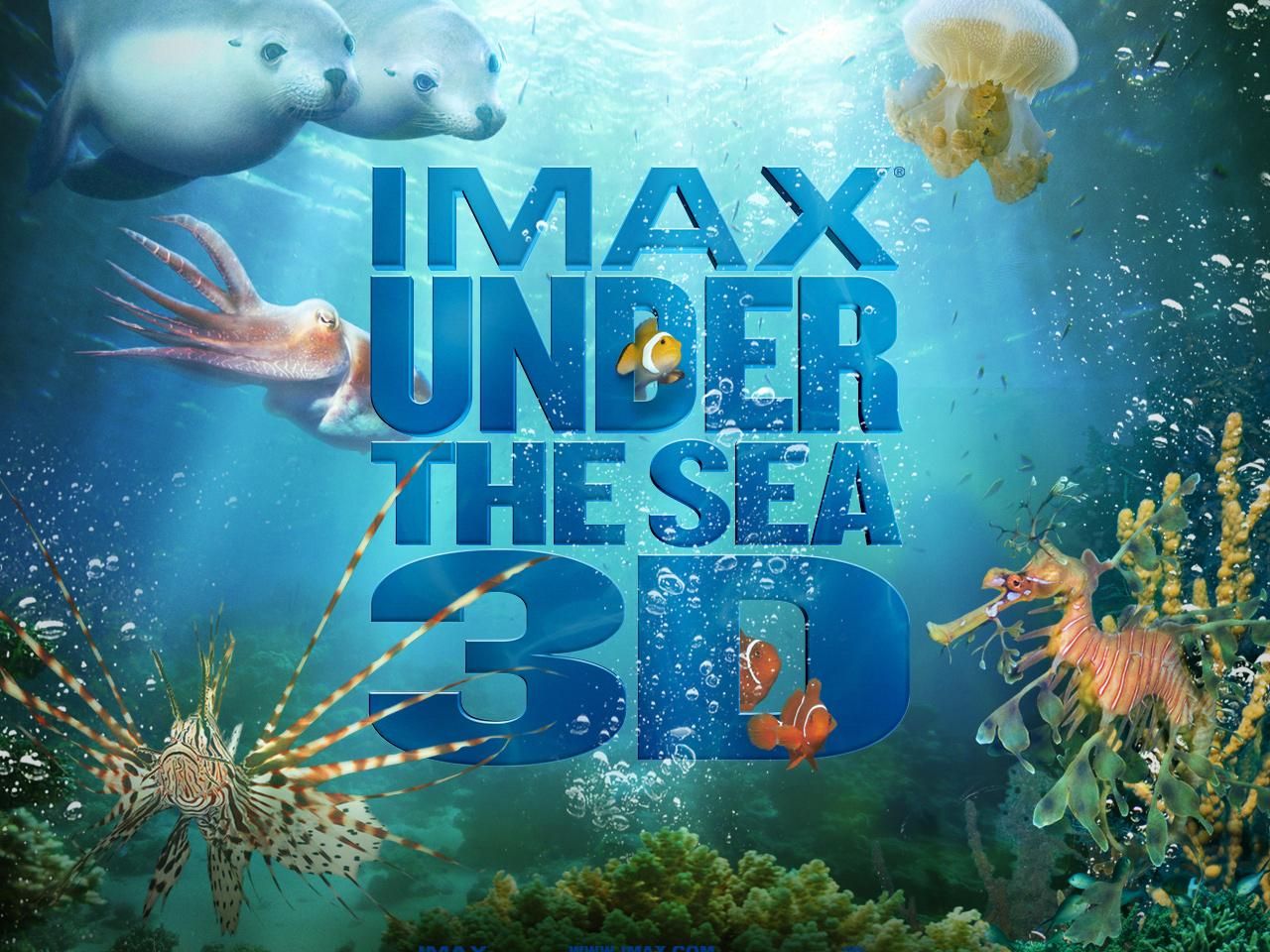 Фильм На глубине морской 3D | Under the Sea 3D - лучшие обои для рабочего стола