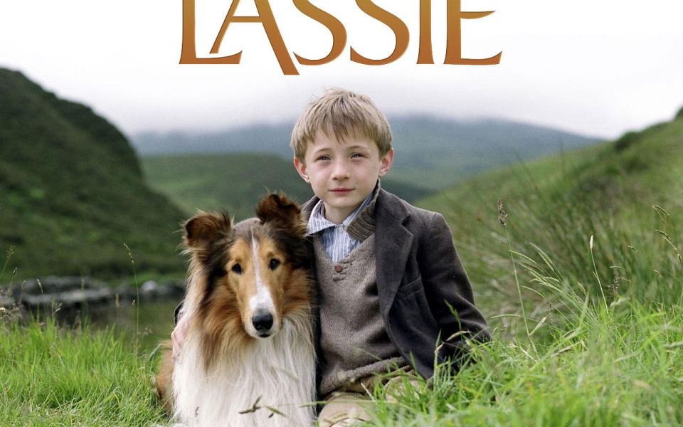 Фильм Лэсси | Lassie - лучшие обои для рабочего стола