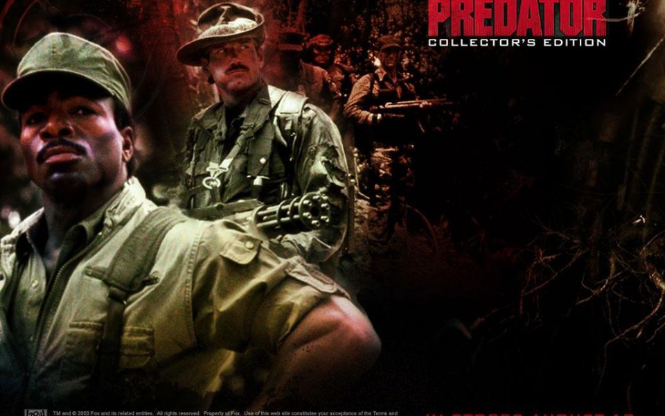 Фильм Хищник | Predator - лучшие обои для рабочего стола